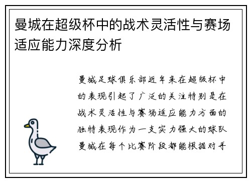 曼城在超级杯中的战术灵活性与赛场适应能力深度分析