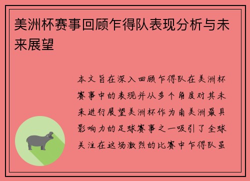 美洲杯赛事回顾乍得队表现分析与未来展望
